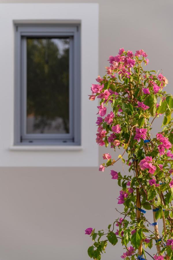 Dionisos Suites Lixouri Buitenkant foto